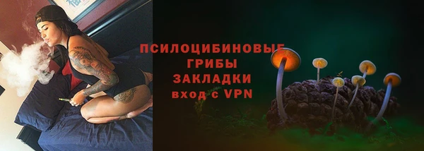 кокс Мегион