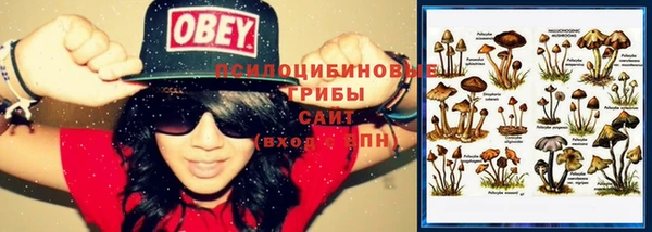 PSILOCYBIN Медногорск