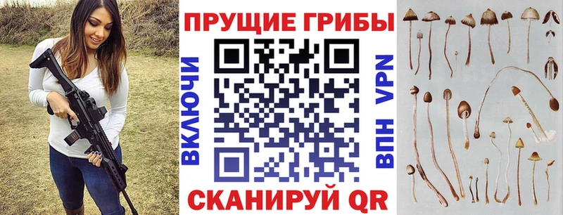 Псилоцибиновые грибы мицелий  kraken сайт  Усть-Катав 